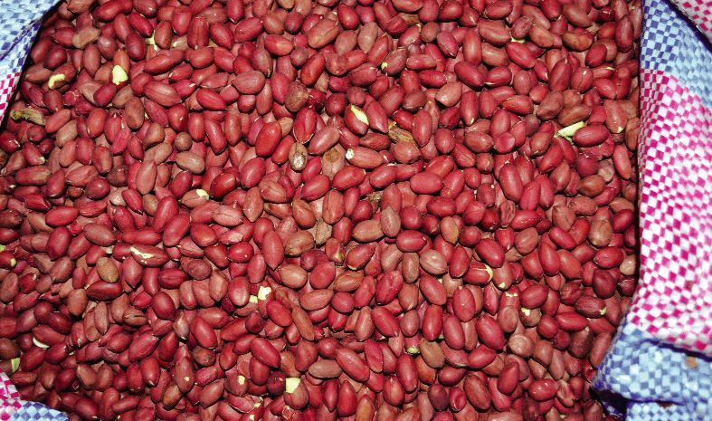 Lutte contre les aflatoxines dans le Houet: des productrices d’arachide ...