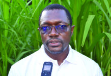 Minyemba Souobou, DR chargé de l’agriculture des Tannounyan : « Le gouvernement fait beaucoup d’efforts pour accompagner les producteurs en termes de labour »