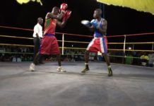 Boxe : Le club ABC impressionne à Manga