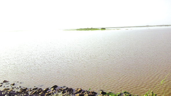 bagre