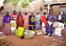 Produits forestiers non ligneux:L’ «or» des femmes du Nord