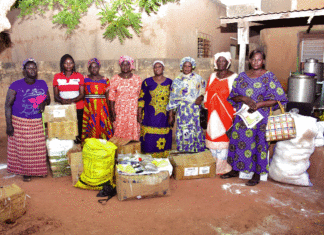 Produits forestiers non ligneux:L’ «or» des femmes du Nord