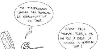 Sourire du 13 décembre 2018