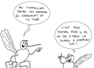 Sourire du 13 décembre 2018