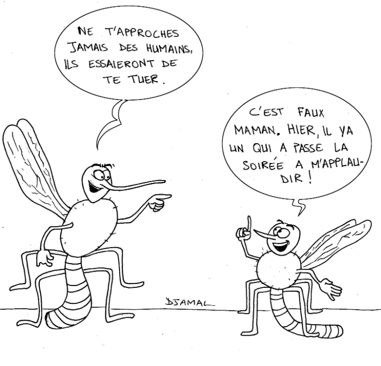 Sourire du 13 décembre  2018