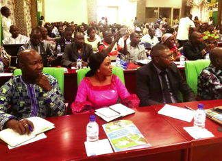 Transformation des exploitations familiales: lever les goulots d’étranglement