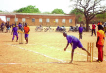 Cricket Au-delà du dilettantisme