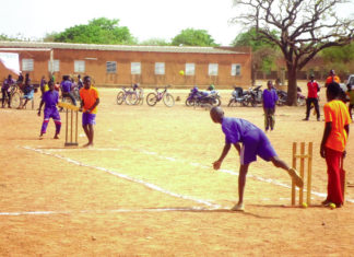 Cricket Au-delà du dilettantisme