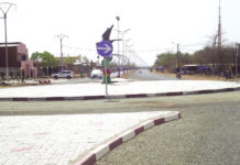 Manga : La marche vers le développement