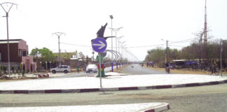 Manga : La marche vers le développement