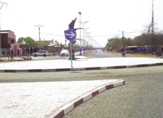 Manga : La marche vers le développement