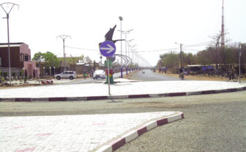 Manga : La marche vers le développement