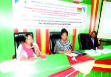 Numérisation du territoire: Un schéma directeur pour interconnecter les régions