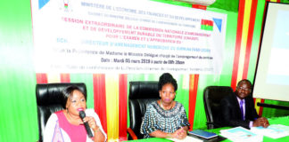 Numérisation du territoire: Un schéma directeur pour interconnecter les régions