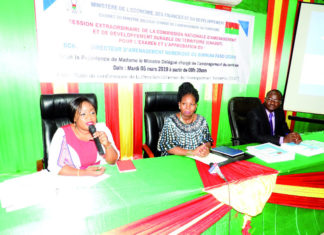 Numérisation du territoire: Un schéma directeur pour interconnecter les régions