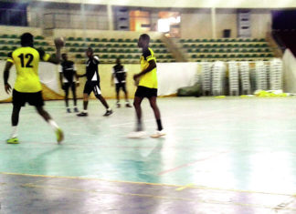 Handball/championnat de la Ligue du Centre