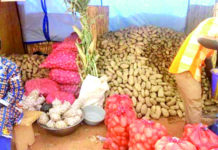 Fête de la pomme de terre dans le Loroum : l’accès aux semences au cœur des réflexions