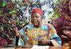 JNP 2019: Bassiaka Dao, icône du monde paysan