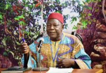 Bassiaka Dao, Président de la CPF: « Après la périodicité, il faut redéfinir le contenu de la JNP »