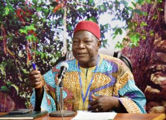 JNP 2019: Bassiaka Dao, icône du monde paysan