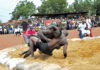 11e édition du tournoi de lutte de Pankélé : 200 lutteurs attendus