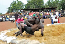 11e édition du tournoi de lutte de Pankélé : 200 lutteurs attendus