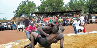 11e édition du tournoi de lutte de Pankélé : 200 lutteurs attendus