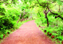 Convention de Ramsar : Le Burkina dans la dynamique