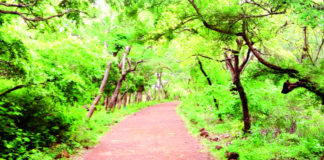 Convention de Ramsar : Le Burkina dans la dynamique