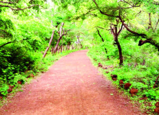 Convention de Ramsar : Le Burkina dans la dynamique