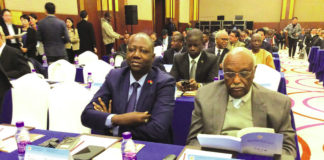 Coopération multilatérale: l’institut Chine-Afrique voit le jour