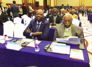 Coopération multilatérale: l’institut Chine-Afrique voit le jour