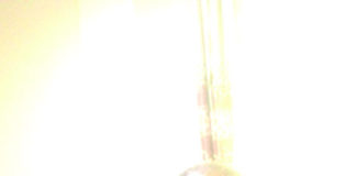 «Nous sommes une référence dans la sous-région»