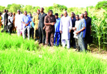 21e édition de la JNP: Le Premier ministre encourage les producteurs modèles