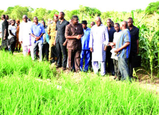 21e édition de la JNP: Le Premier ministre encourage les producteurs modèles