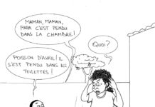 Sourire Sidwaya du 29 04 2019