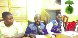 Actu vert : les forêts classées menacées