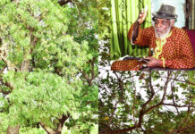 Biodiversité végétale : des espèces “se meurent’’ au Sud-ouest