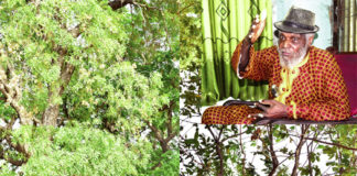 Biodiversité végétale : des espèces “se meurent’’ au Sud-ouest