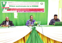 44 ans de la CEDEAO : des acquis mais aussi des défis à relever