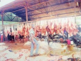 Abattoir à Kaya La boucherie, une spécialité du Sanmatenga