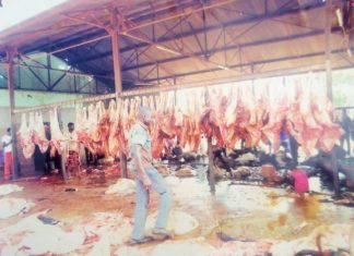 Abattoir à Kaya La boucherie, une spécialité du Sanmatenga
