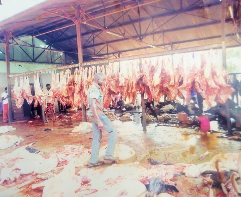 Abattoir à Kaya La boucherie, une spécialité du Sanmatenga