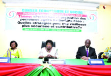 Prise en charge des personnes âgées : le CES recommande la gratuité des soins