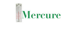 Afrique du Sud : éviter de surfer sur la fibre xénophobe