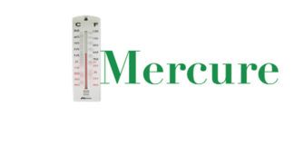 Afrique du Sud : éviter de surfer sur la fibre xénophobe