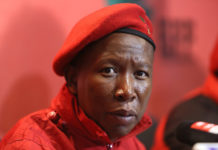 Afrique du Sud : Malema, «fils» de Hani et de Biko