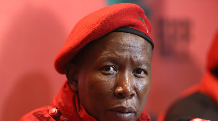 Afrique du Sud : Malema, «fils» de Hani et de Biko