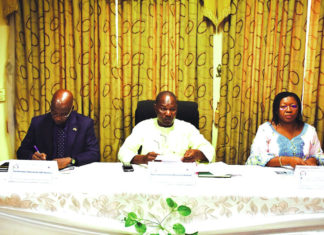 Formulation du second compact du MCC : Les projets énergétiques examinés