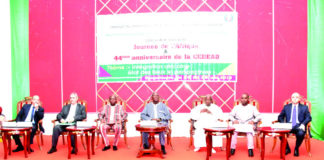 Journée de l’Afrique : Regards croisés sur l’intégration des peuples